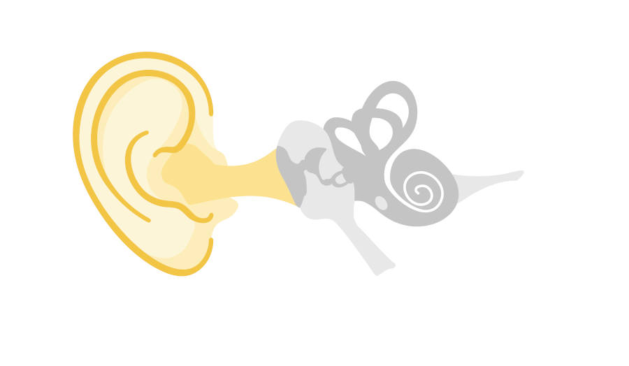Ilustración de oído